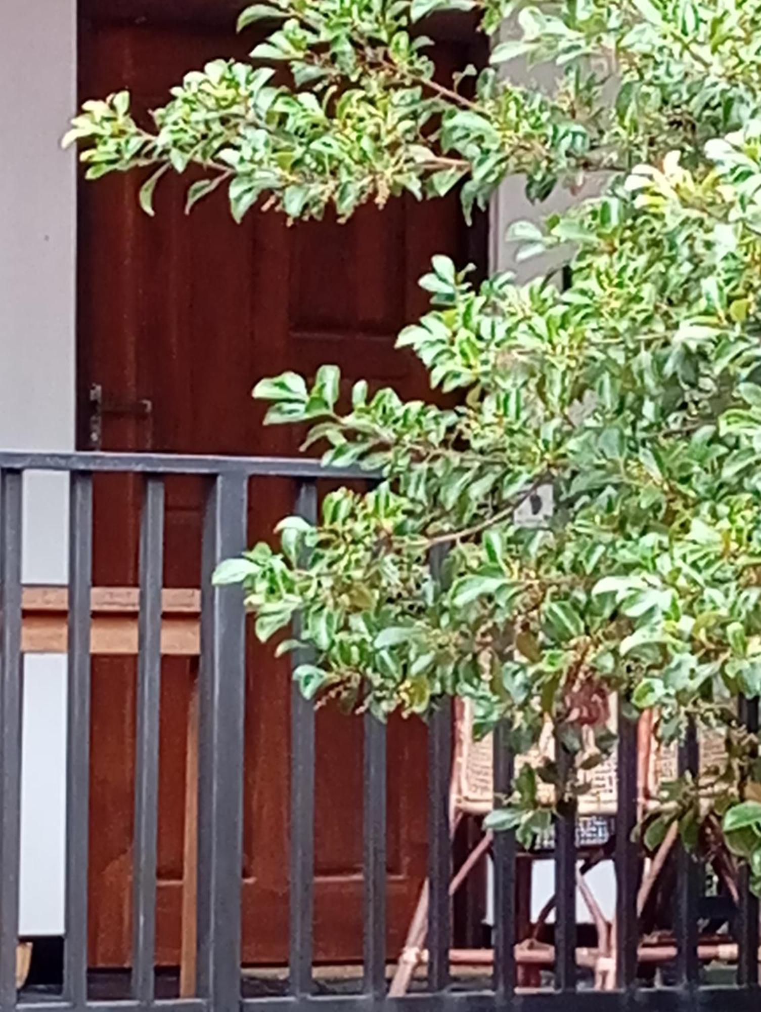 Ceylonima Home Stay Anuradhapura Habitación foto